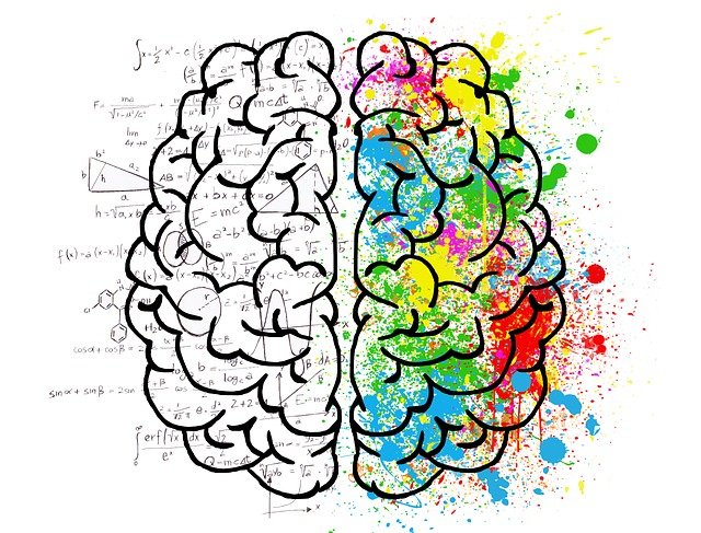 Mon pauvre Cerveau (Saison 2)